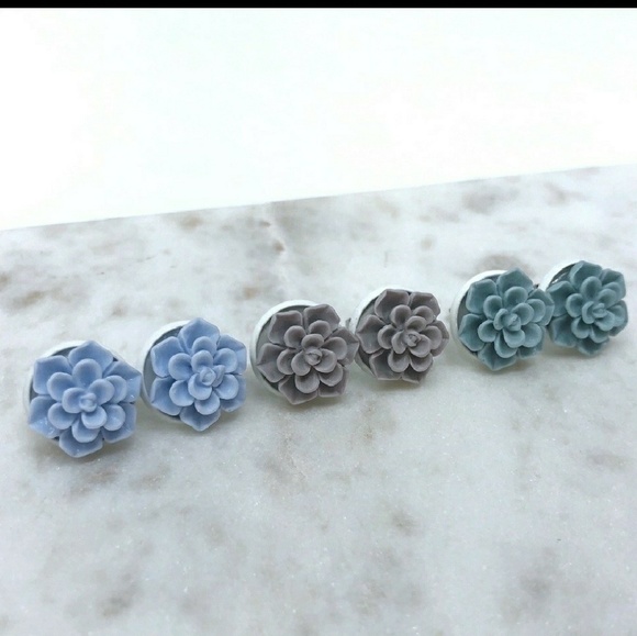 Succulent Earrings - Picture 4 of 4